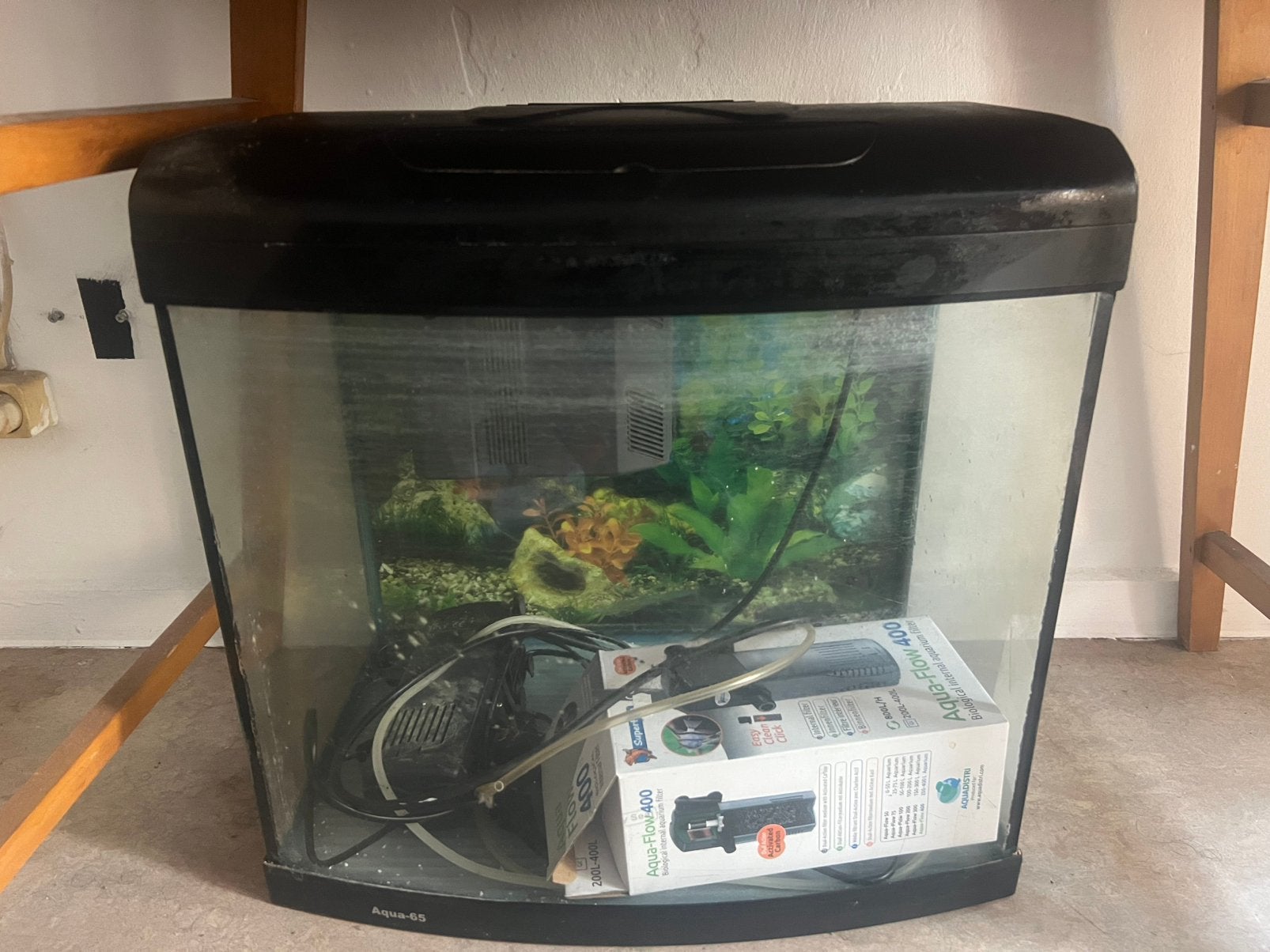 Vis Aquarium, Enlèvement, Couvercle inclus, Utilisé, Aquarium d'eau douce rempli