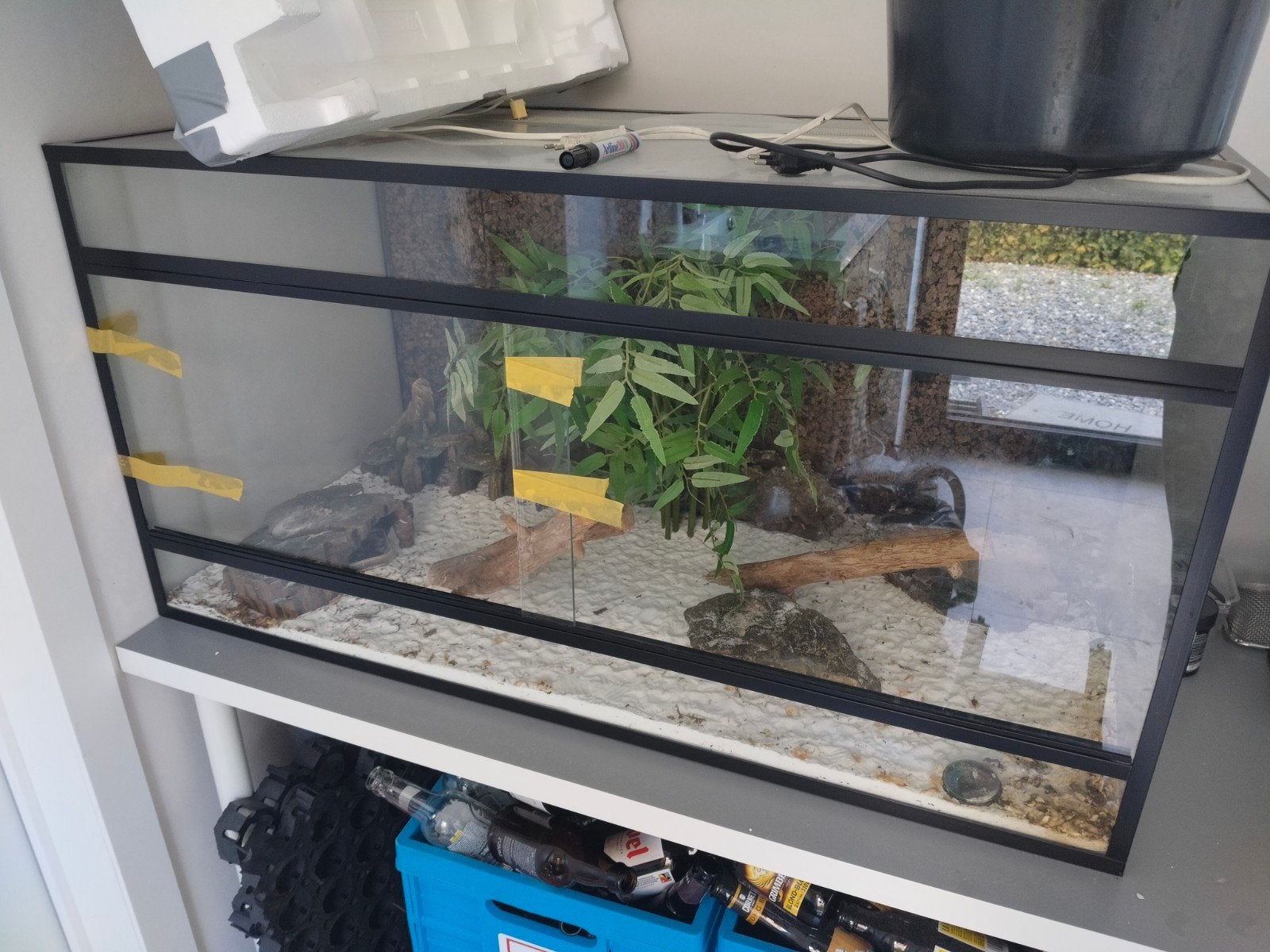 terrarium, Animaux & Accessoires, Enlèvement