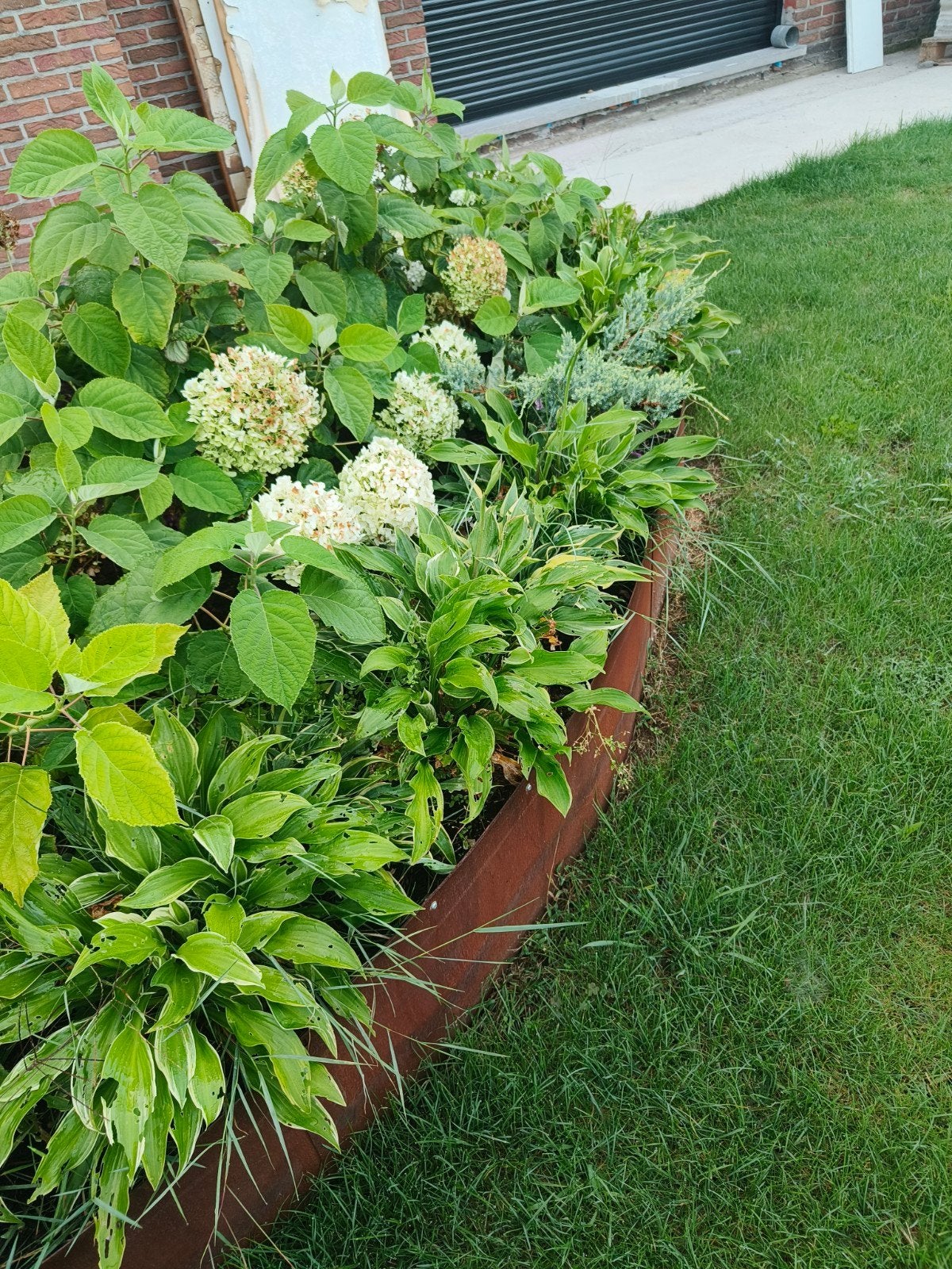 gratis hosta's, Tuin en Terras, Ophalen