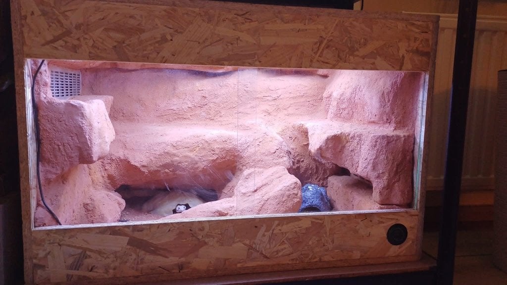 Terrarium 80cm, Enlèvement, Comme neuf, Terrarium ou Paludarium