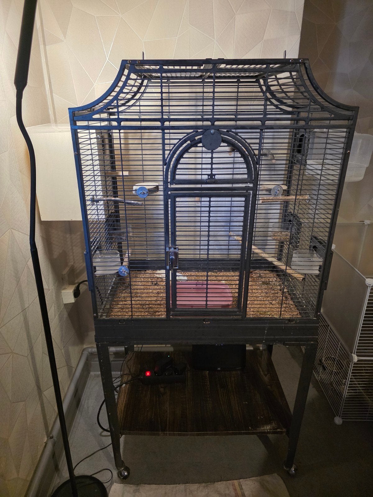 Cage Montana, Animaux & Accessoires, Enlèvement