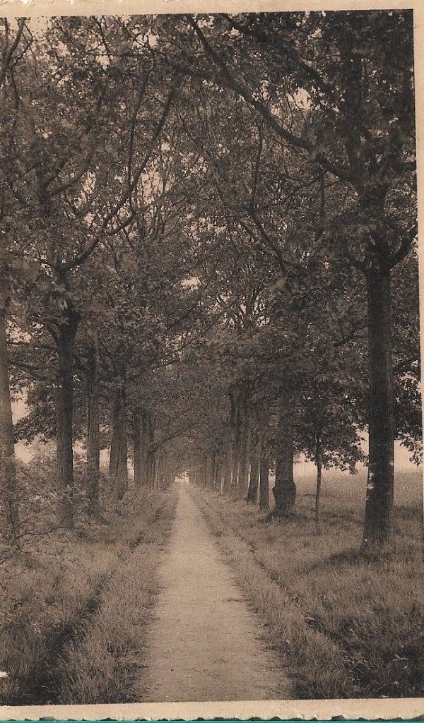 Zoersel torendreef, Verzamelen, Ophalen of Verzenden, 1920 tot 1940, Gelopen, Antwerpen