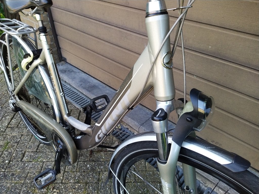 Giant damesfiets - Nederlandse fiets van hoge kwaliteit, Ophalen, Versnellingen, Giant, 53 tot 56 cm