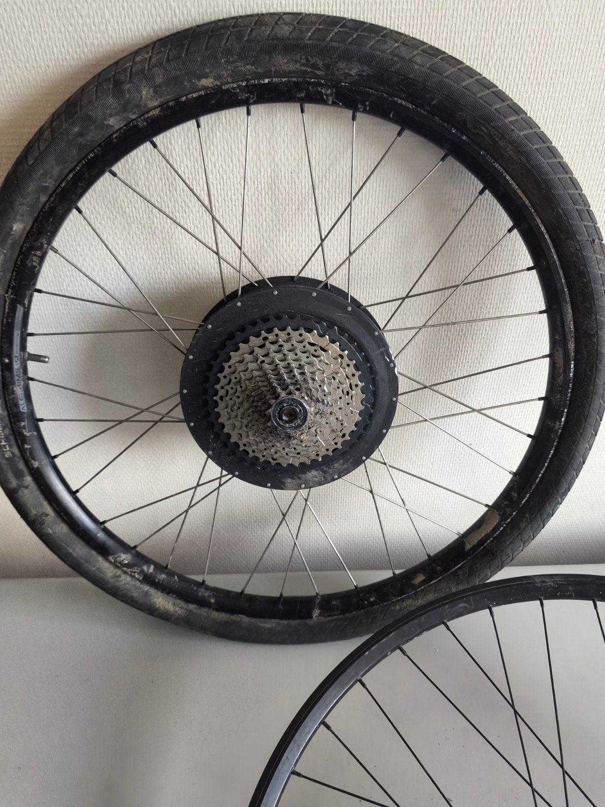 roue arrière vélo électrique, Ophalen, Motor