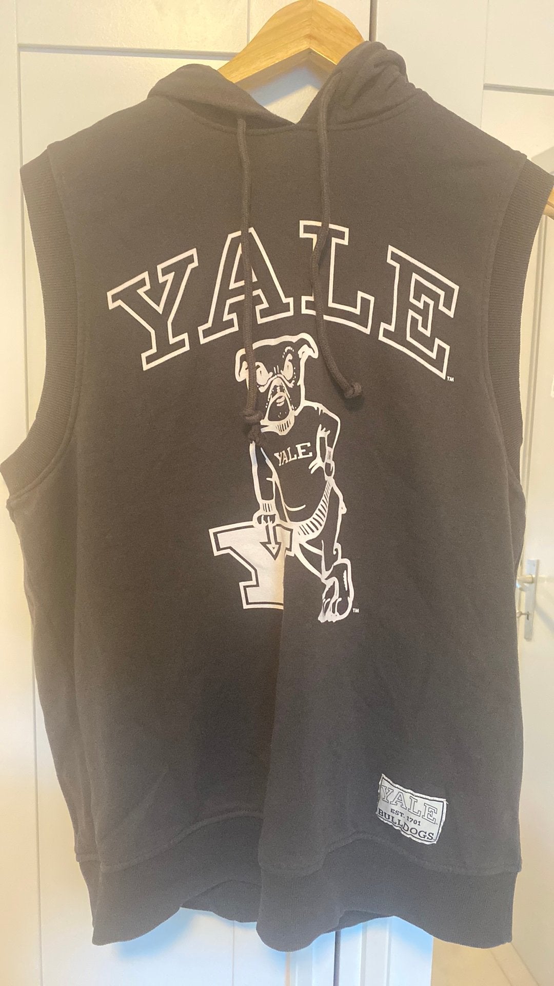 Grijze hoodie logo/yale, Vêtements | Hommes, Blousons sans Manches, Enlèvement, Comme neuf, Autres tailles, Gris