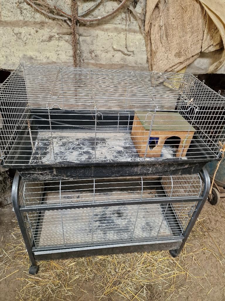 Konijn of cavia hok, Ophalen, Gebruikt, Hok, Fret