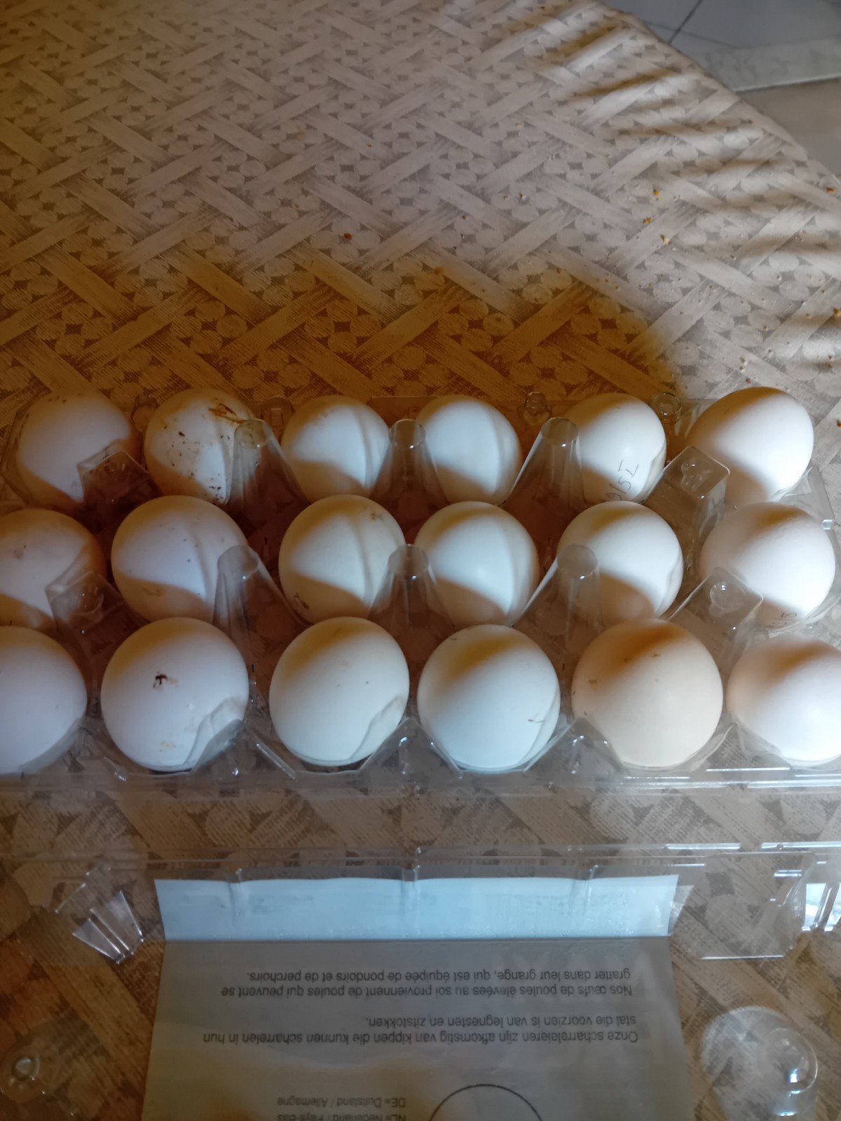 Tekoop  kippen eieren, Dieren en Toebehoren, Pluimvee