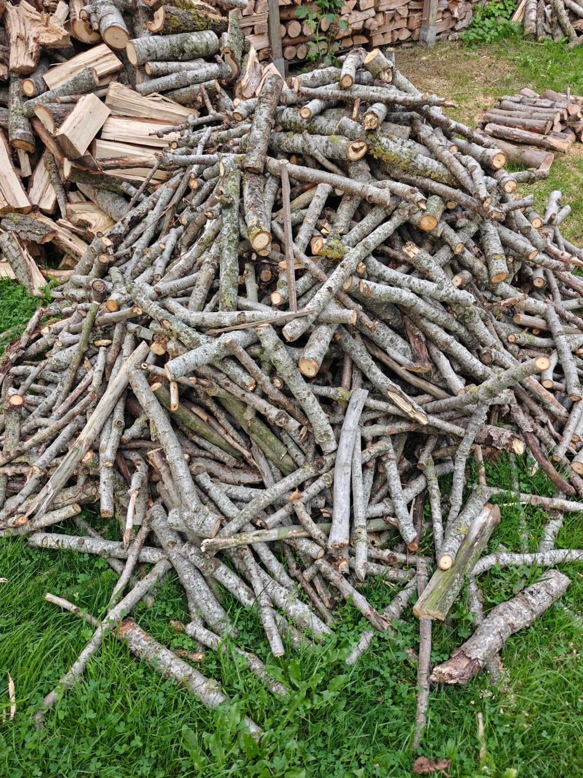 Brandhout  Canada Populier, 6 m³ ou plus, Enlèvement, Autres essences de bois, Bûches