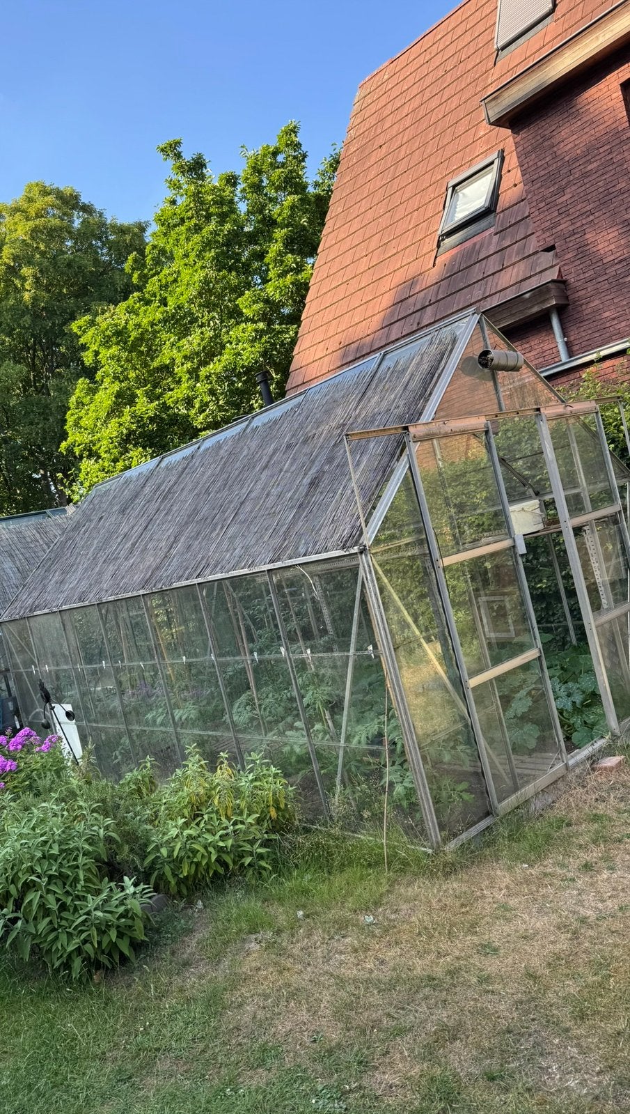 Serre glas/aluminium, Enlèvement, Utilisé, Pépinière