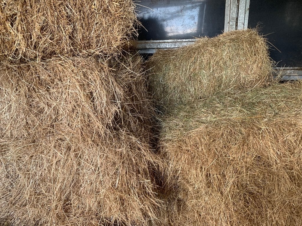 Hooi kleine botten, Dieren en Toebehoren, Ophalen