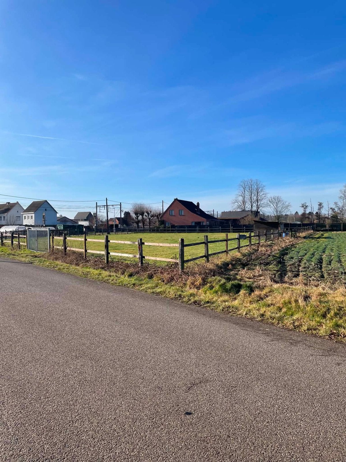 Weide te huur in Geel, Hadschot, Pâturage, 1 cheval ou poney