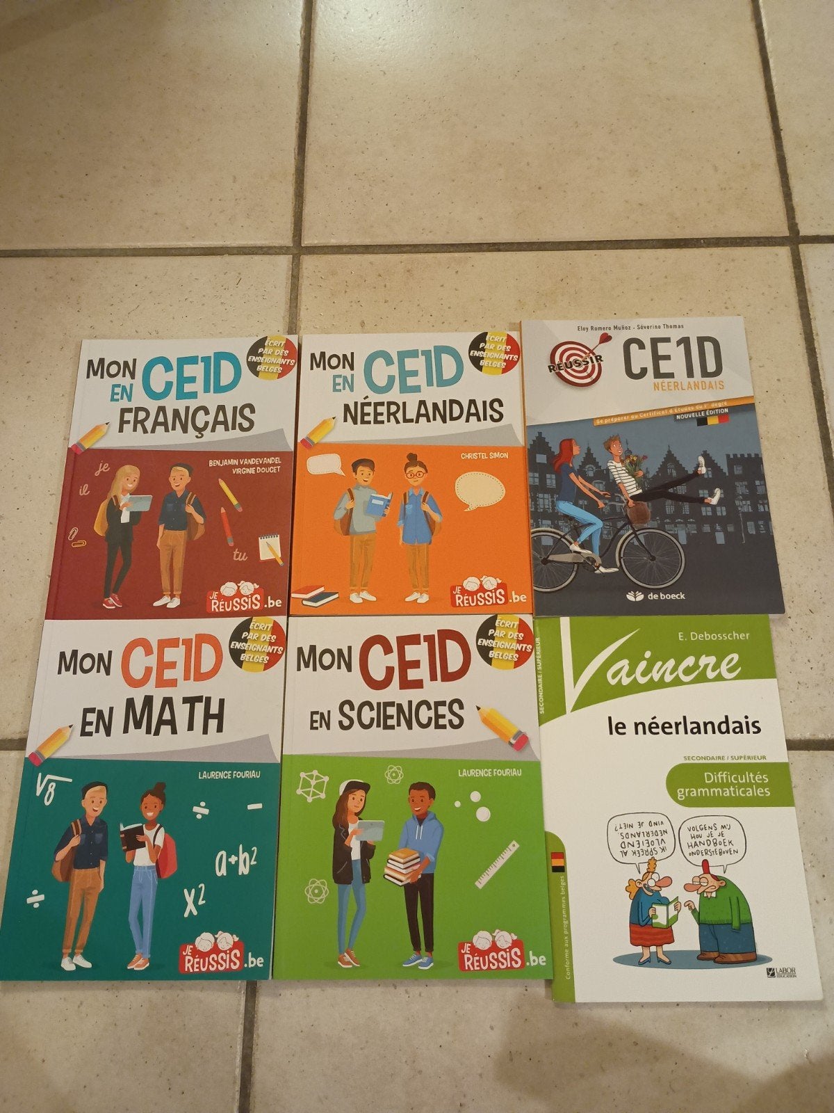 livres préparatoires au CE1D, Enlèvement ou Envoi, Comme neuf