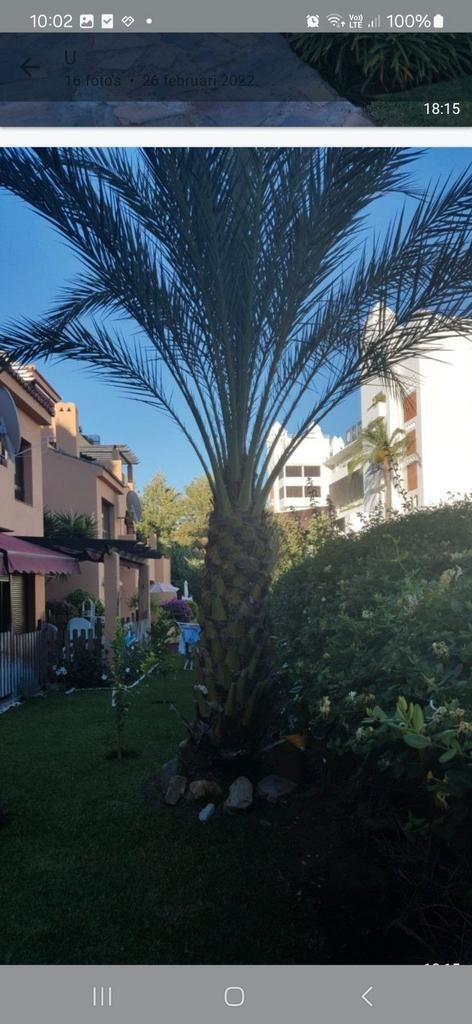 Estepona app aan zee,2 slpk 2 badk,vrij,nov,dec,jan., Tv, Aan zee