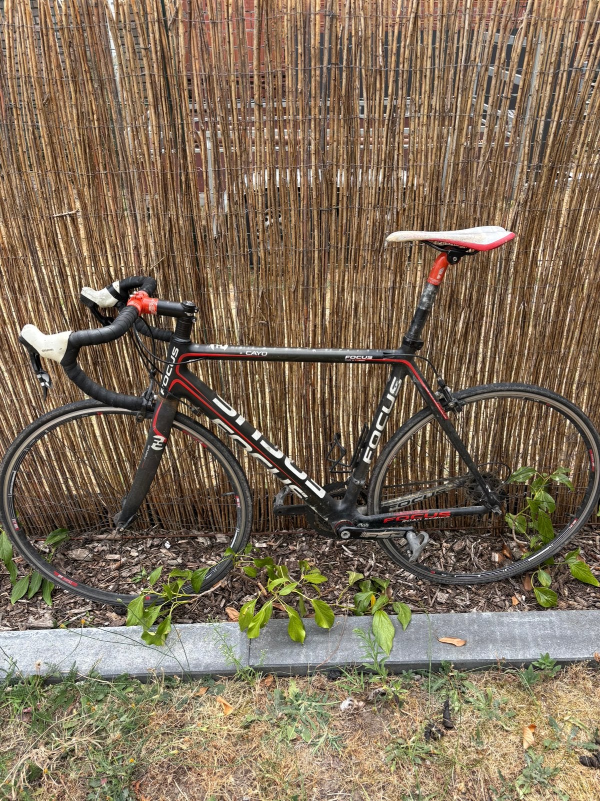 Focus Cayo full-carbon koersfiets, Fietsen en Brommers, Ophalen, Gebruikt, Carbon, Overige merken
