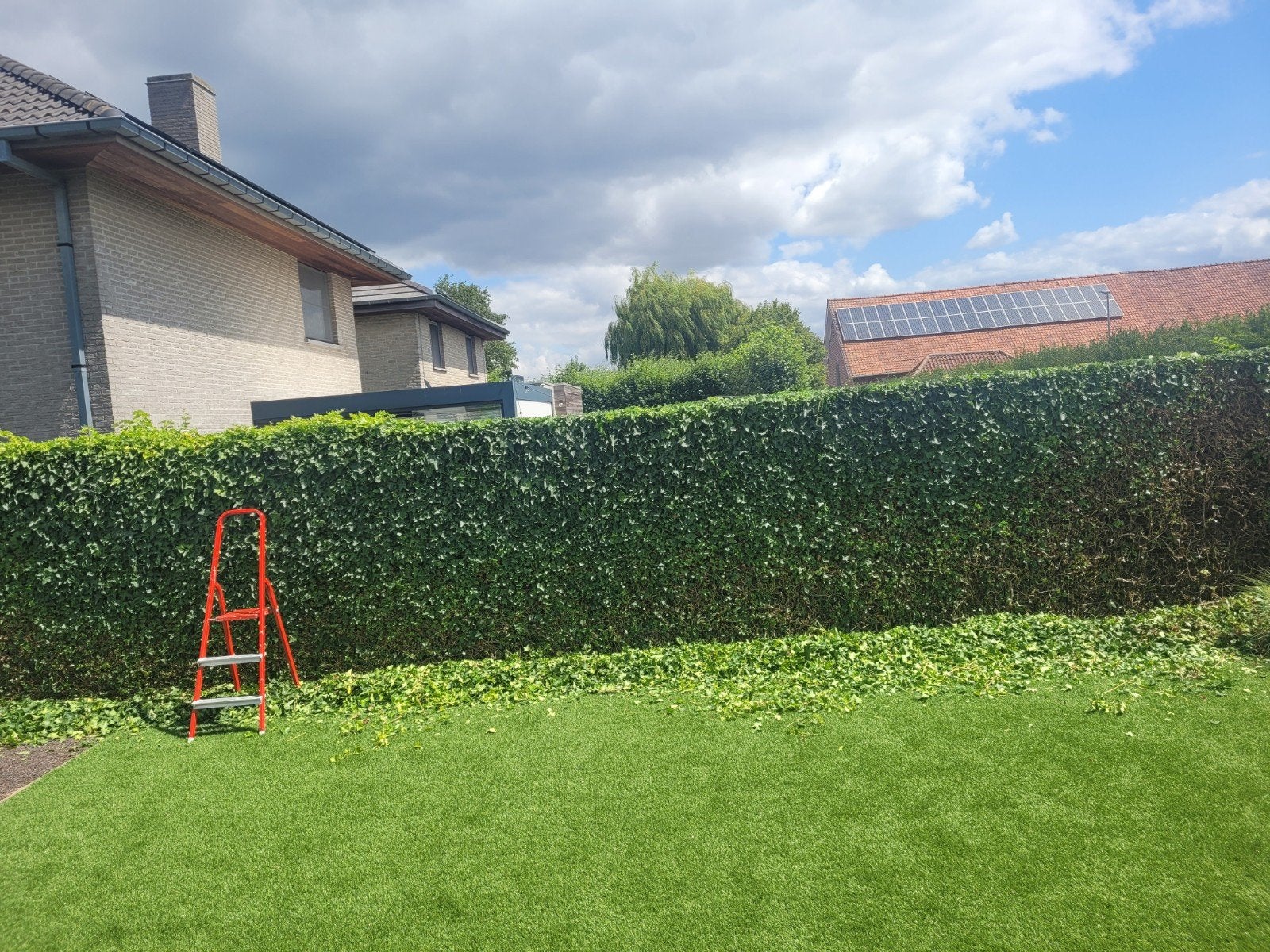 Entretien de Jardins & Taille des Arbres