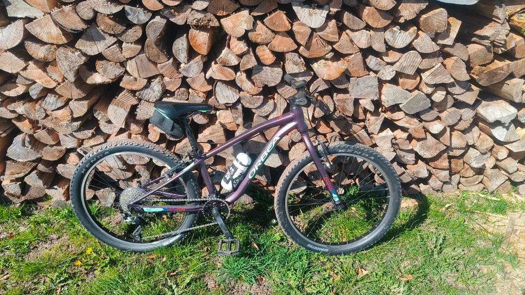 VTT enfant orbea mx team 24, Enlèvement