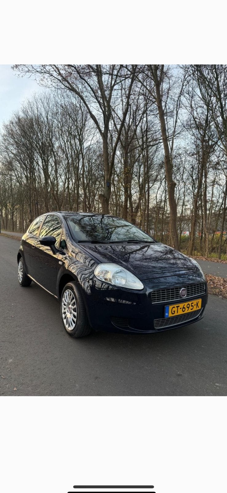 FIAT GRAND PUNTO DYNAMIC 2010, Ophalen, Voor, Fiat
