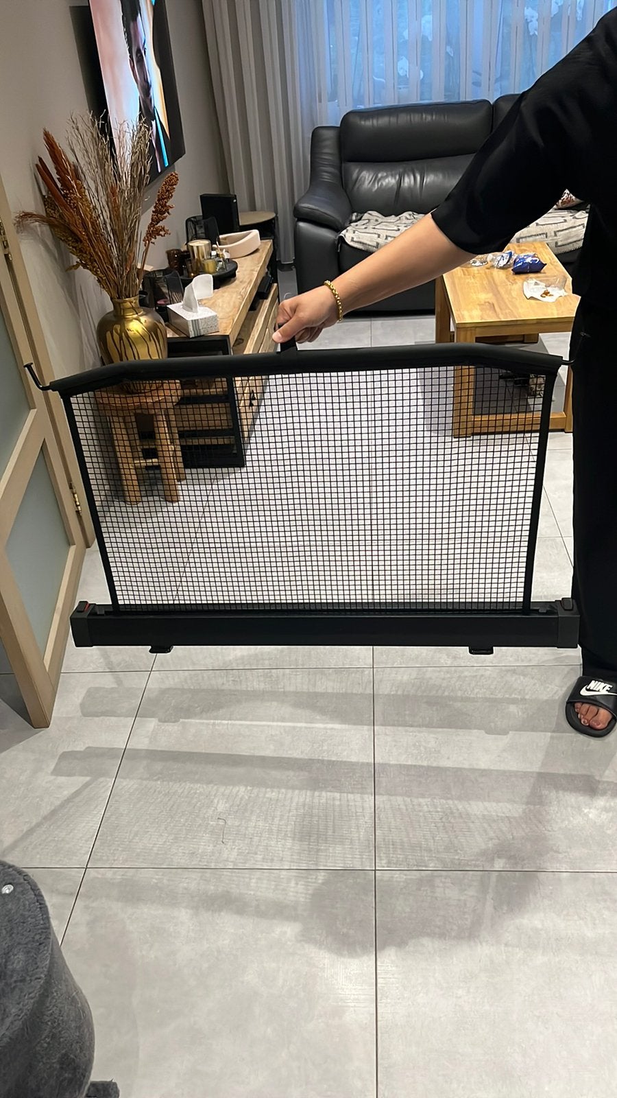 Grille pare- chien original BMW G31 neuf a partir de 2018, Enlèvement, Neuf