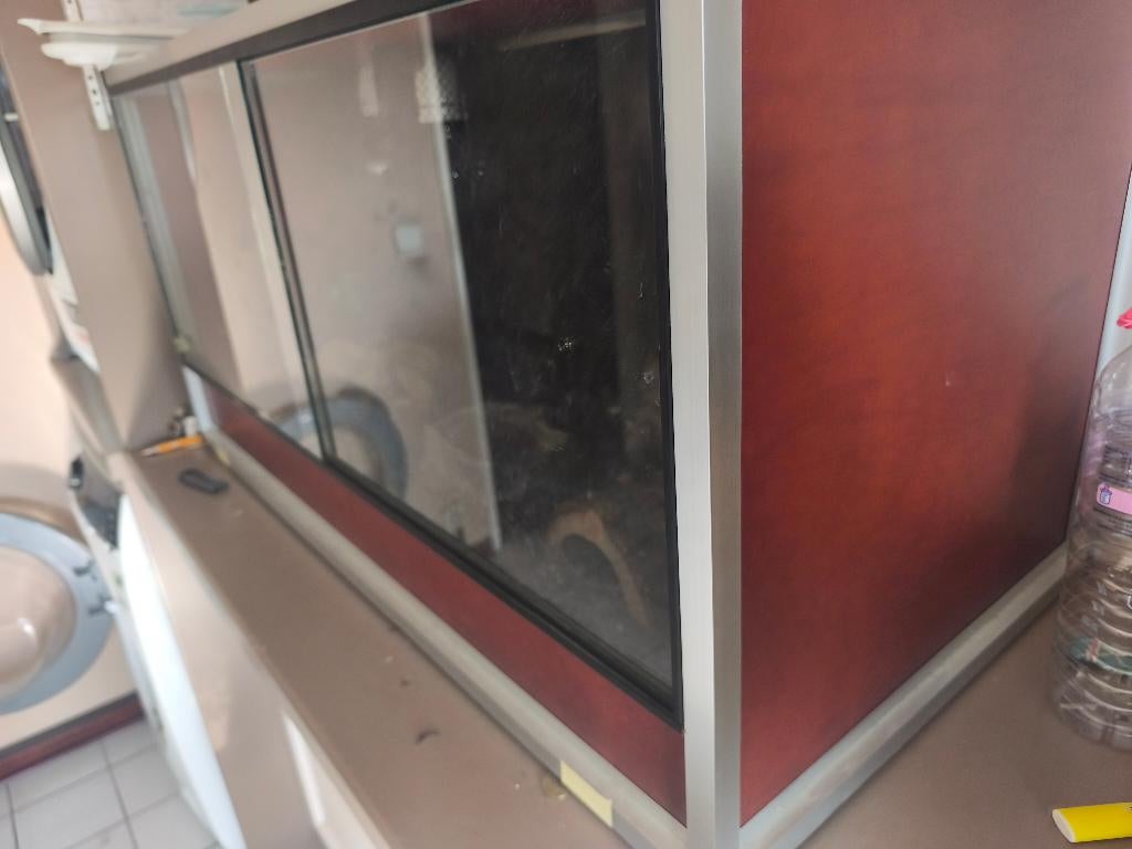 Terrarium compleet, Dieren en Toebehoren