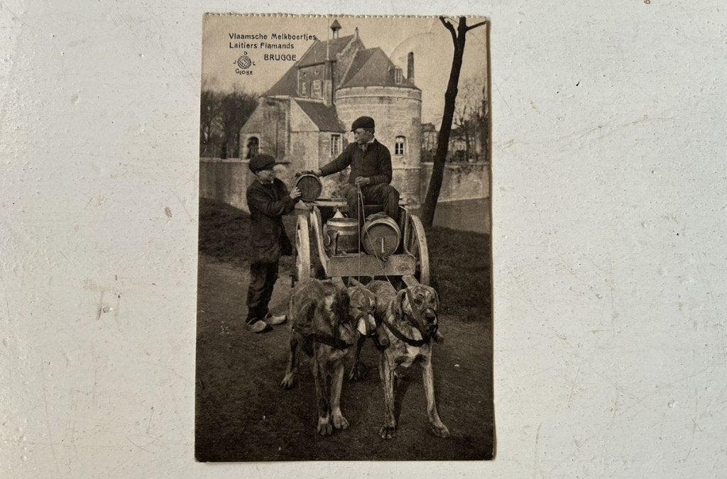 Postkaart - hondenkar - Melkboertjes - Ezelpoort Brugge, Ophalen of Verzenden, Voor 1920, Gelopen, West-Vlaanderen