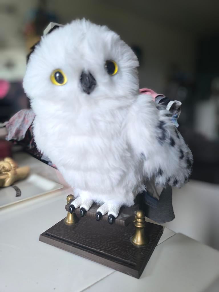 Interactieve uil Harry Potter, Ophalen of Verzenden