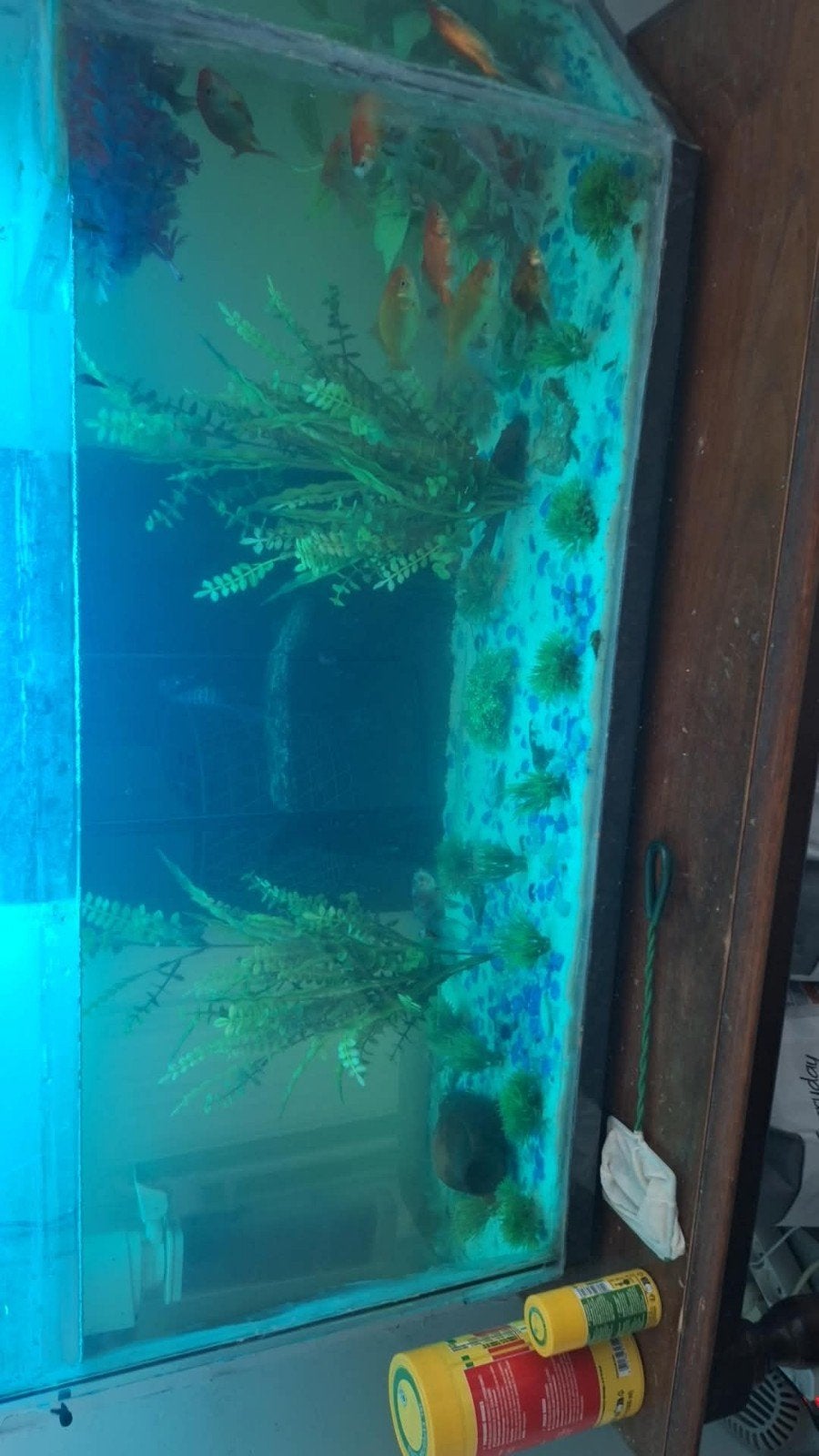 Décoration d'aquarium, Ophalen, Gebruikt, Overige typen