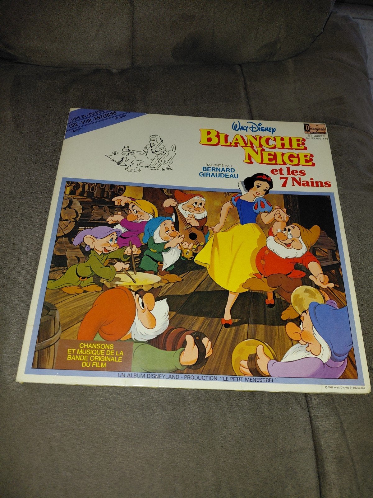 vinyle livre blanche neige, CD & DVD, Vinyles | Enfants & Jeunesse, Enlèvement ou Envoi