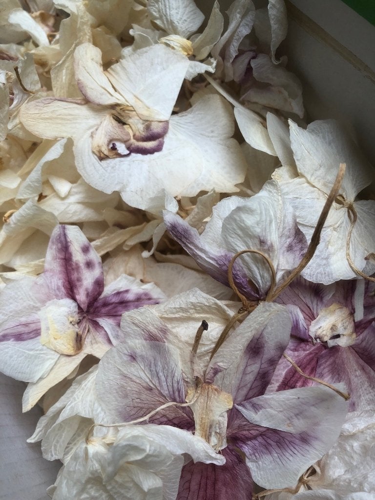 droogbloemen orchidee, Maison & Meubles, Accessoires pour la Maison | Fleurs séchées, Enlèvement ou Envoi, Comme neuf