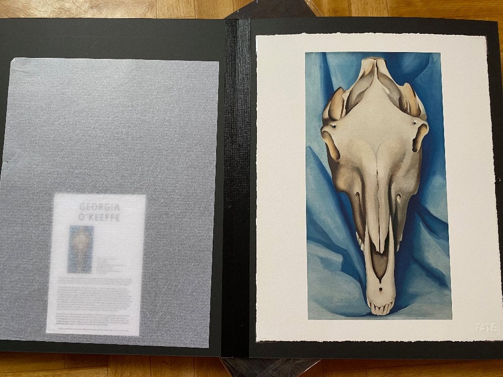 art Georgia O"Keeffe, Antiek en Kunst, Kunst | Tekeningen en Fotografie, Ophalen