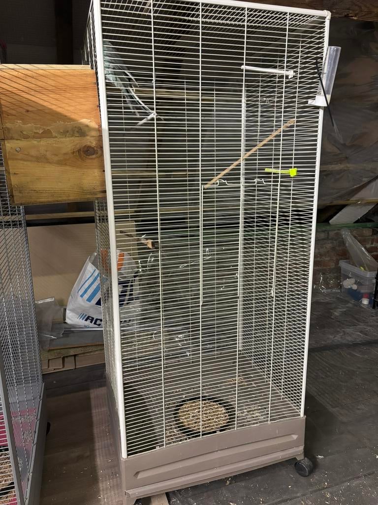 Volière, Animaux & Accessoires, Enlèvement, Volière