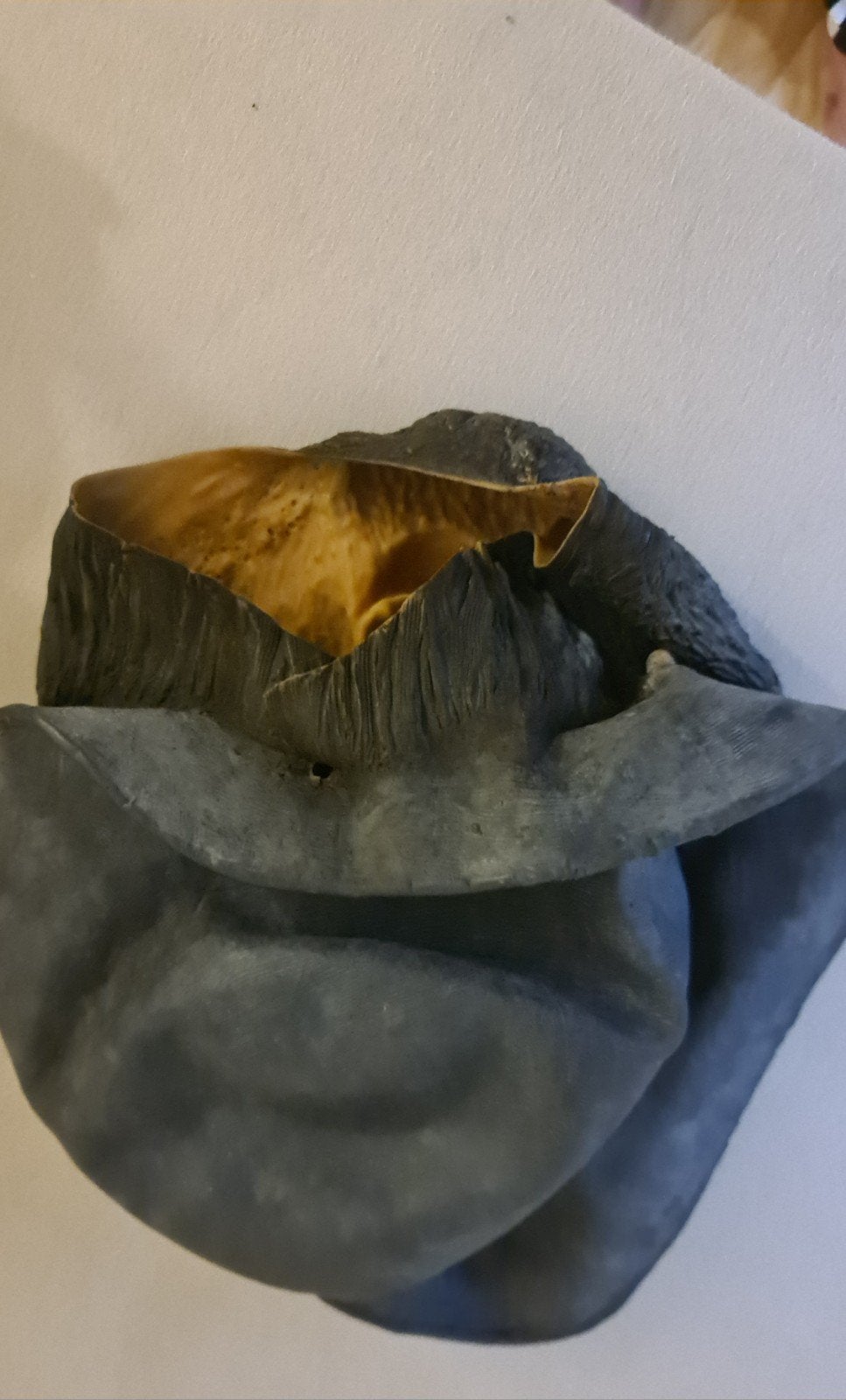 masker, Diversen, Ophalen