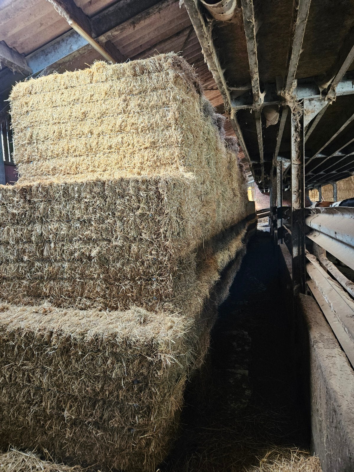 grote pakken hooi, Articles professionnels, Agriculture | Aliments pour bétail, Enlèvement