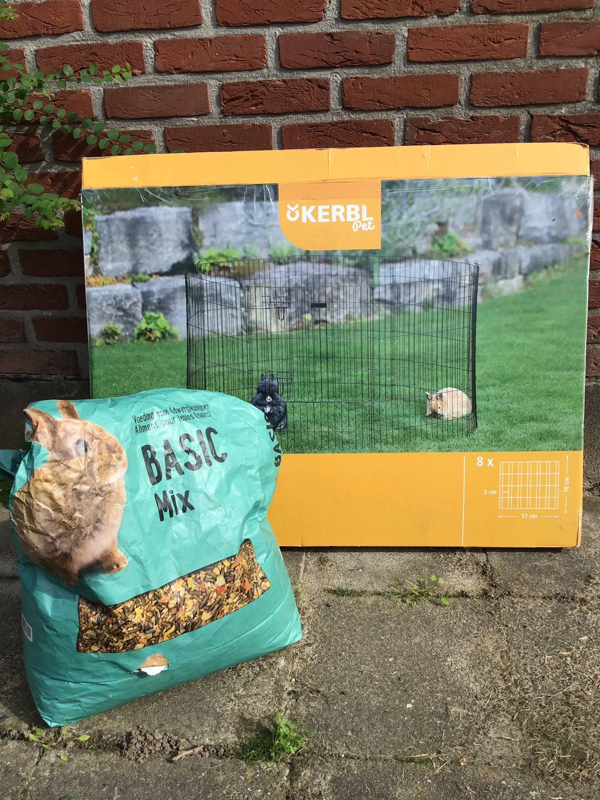 2 Knaagdieren rennen , omheining, Ophalen