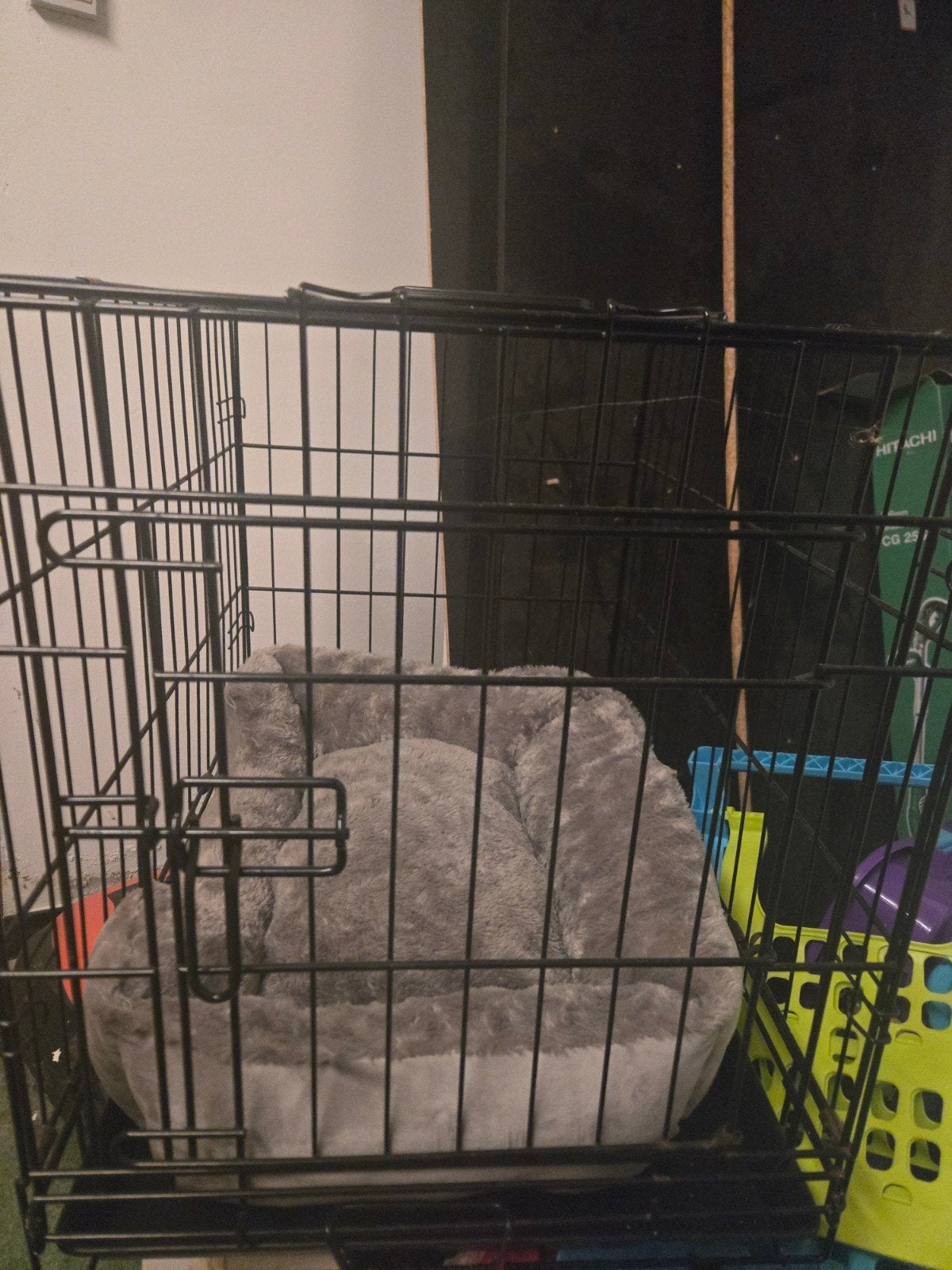 Cage pour chien, Enlèvement