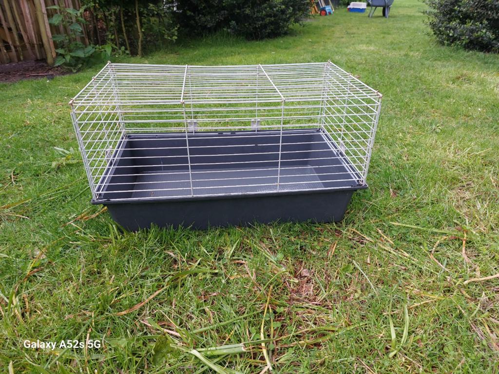 Knaagdieren en cavia kooi, Ophalen, Kooi, Cavia
