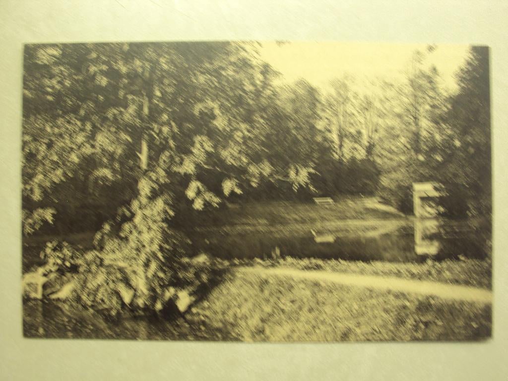 55592 - DOMAINE DE MARIEMONT - LE PARC - LES ETANGS, Verzenden
