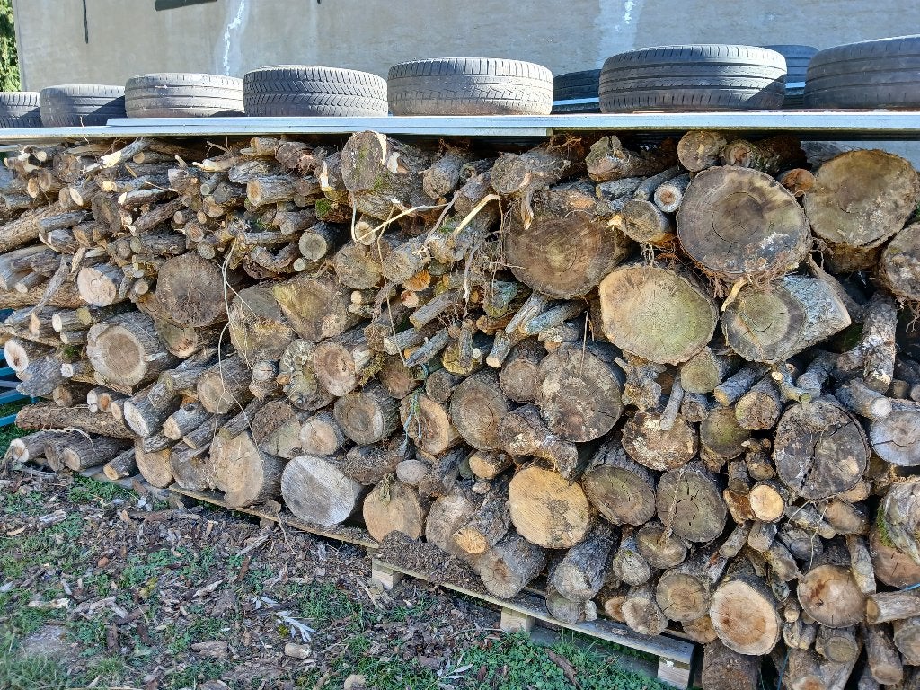 Bois de chauffage Saule, Jardin & Terrasse, 6 m³ ou plus, Enlèvement, Autres essences de bois, Bûches