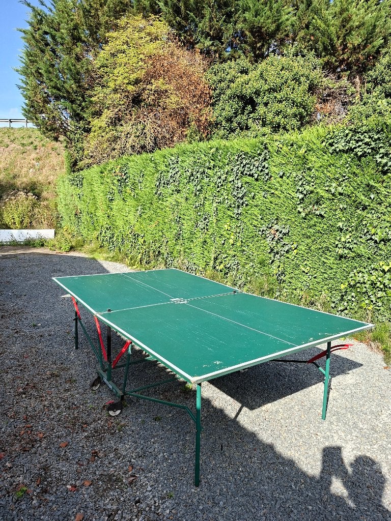 pingpongtafel, Sport en Fitness, Ophalen, Gebruikt, Tafel Indoor, Inklapbaar