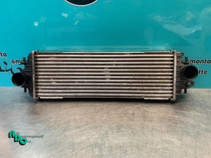 Intercooler d'un Renault Trafic, Renault, -, 3 mois de garantie, Utilisé