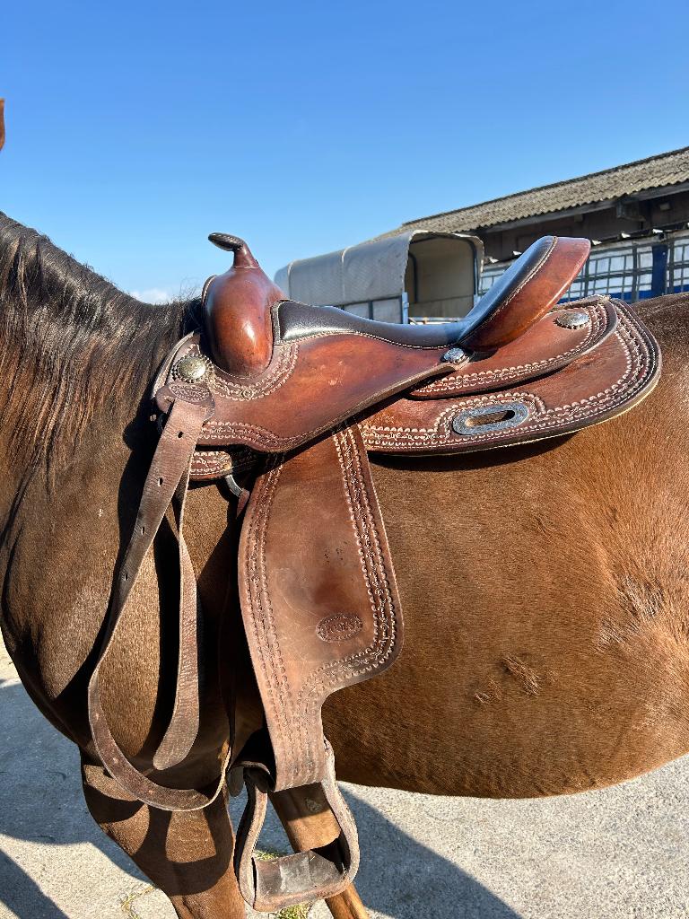 Selle Western, Enlèvement, Utilisé, Western