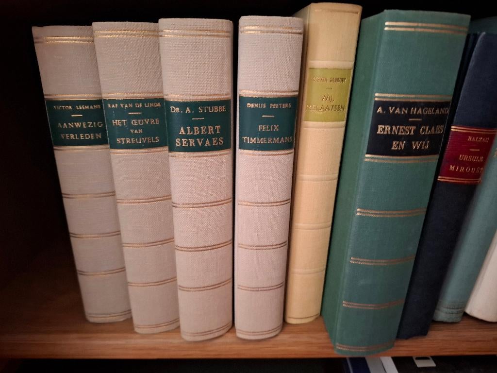Boeken - Vlaamse schrijvers, Boeken, Ophalen, Gelezen, België