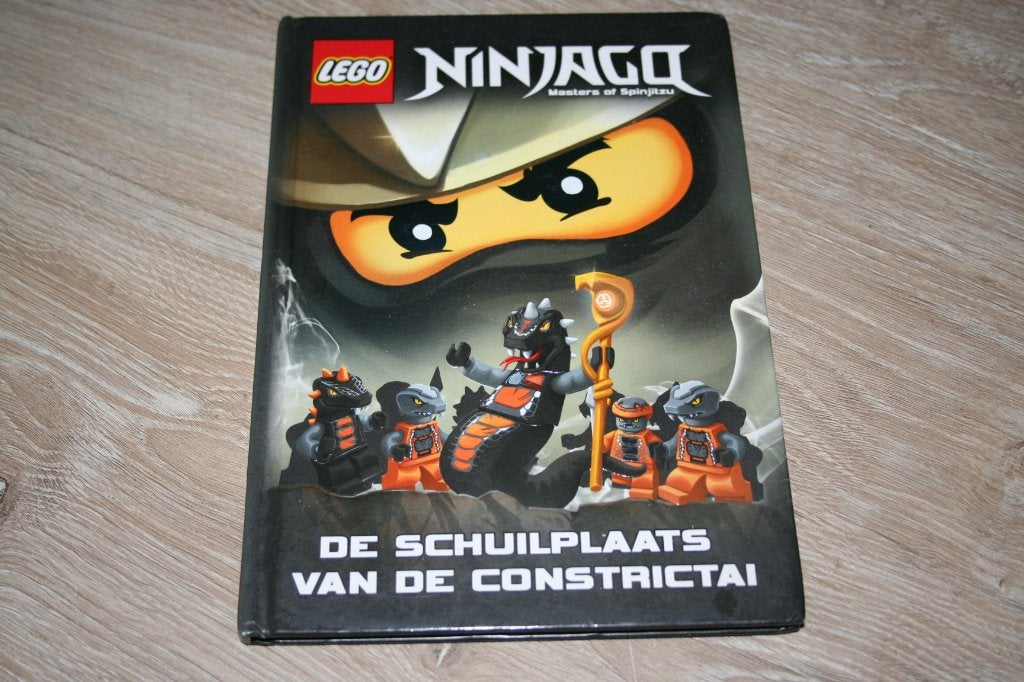 lego boek Ninjago, Ophalen of Verzenden, Gelezen, Disney Lego