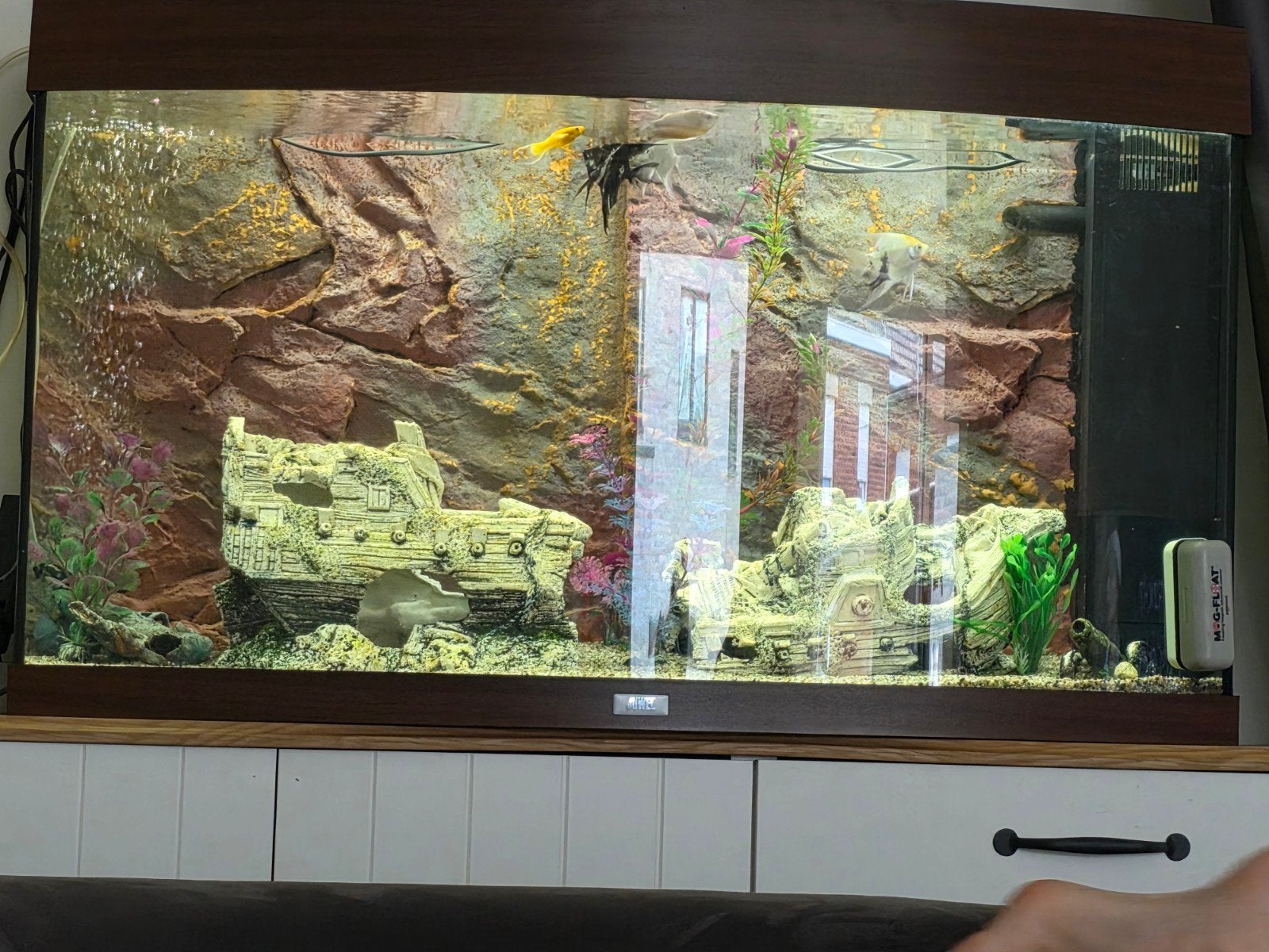 aquarium te koop, Huis en Inrichting, Ophalen