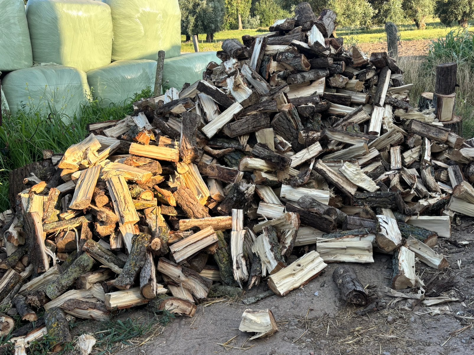 Gekliefd hout te koop, Tuin en Terras, Brandhout, 6 m³ of meer, Ophalen, Overige houtsoorten, Stammen