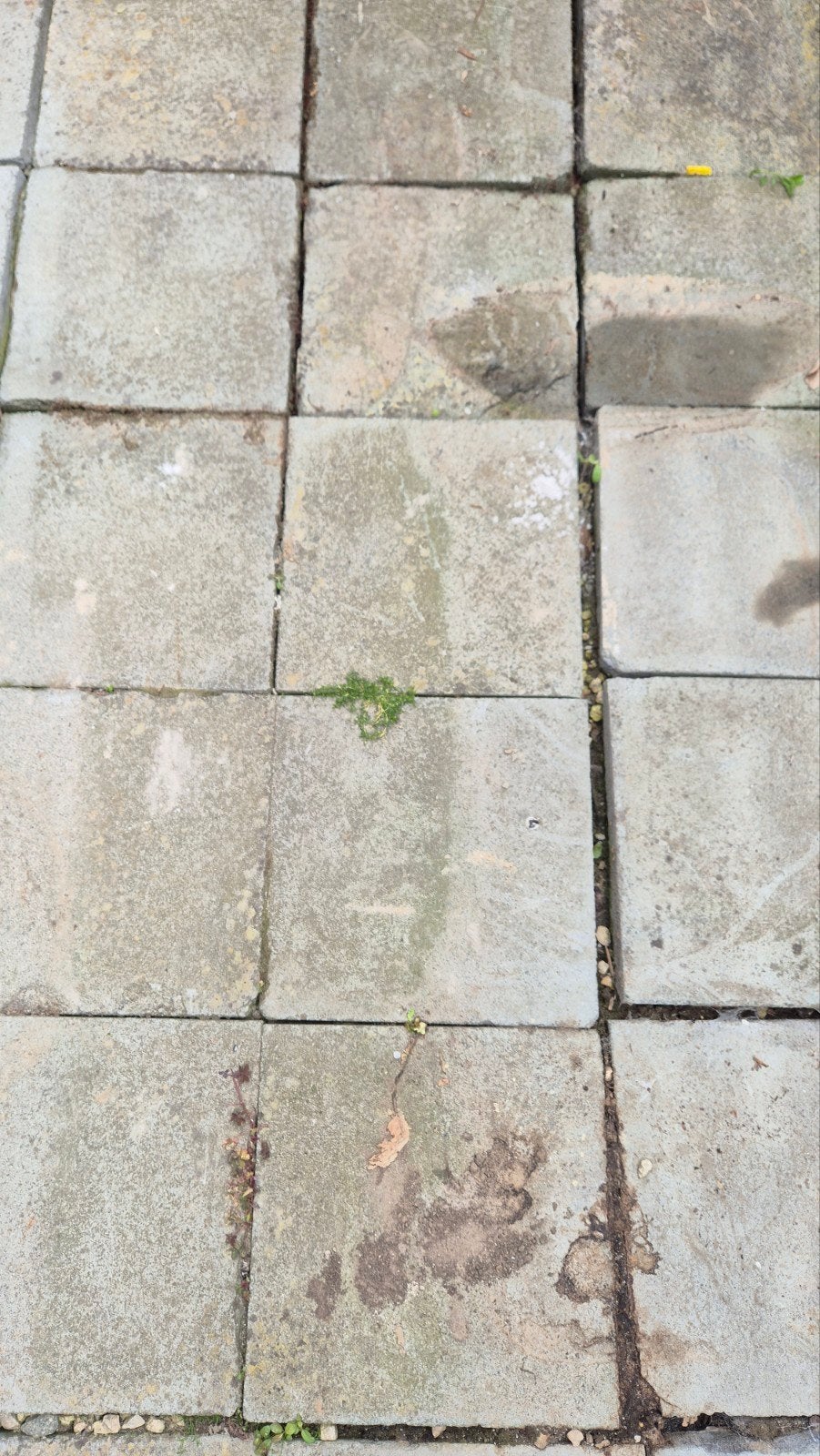Gratis betondallen, Tuin en Terras, Ophalen