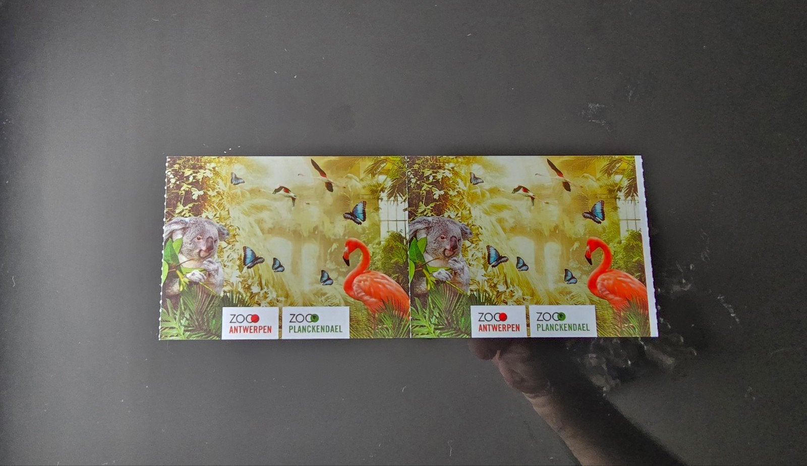 2 ZOO kaartjes, Twee personen, Arrangement, Ticket of Toegangskaart