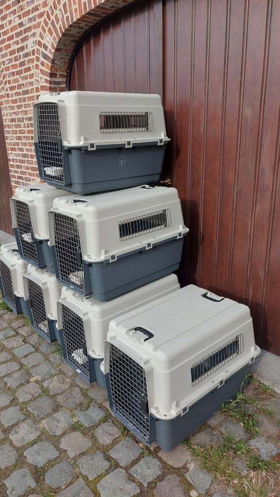 Grote IATA transportbench hond – vliegbench – stevige kwalit, Dieren en Toebehoren, Ophalen, Gebruikt