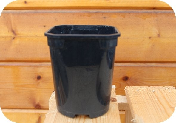 Kweekpotten, bloempotten, plastic potten, zelf kweken, Tuin en Terras, Bloempotten, Niet ingevuld, Kunststof, Niet ingevuld, Nieuw