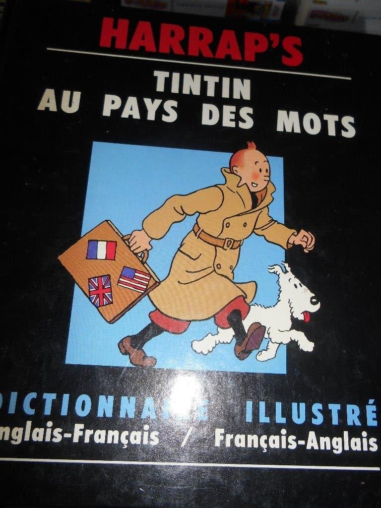 Tintin au pays des mots dictionnaire illustré ( Harrap's), Livres, Enlèvement ou Envoi