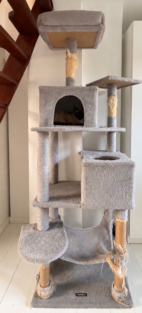 Arbre à chat 188cm, Enlèvement, Utilisé, Griffoir